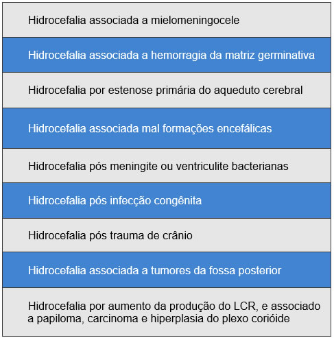 Dr Enrico Ghizoni especialista em Hidrocefalia